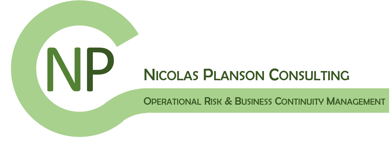 Nicolas Planson Consulting
